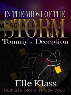 cover image of In the Midst of the Storm